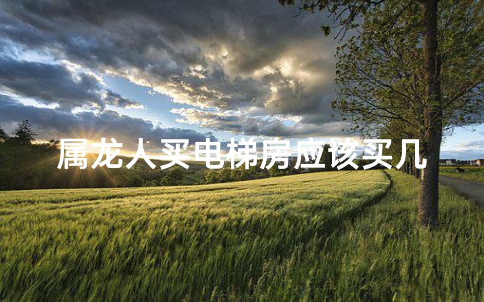 属龙人买电梯房应该买几楼、属龙人买电梯房：选几楼最吉利？
