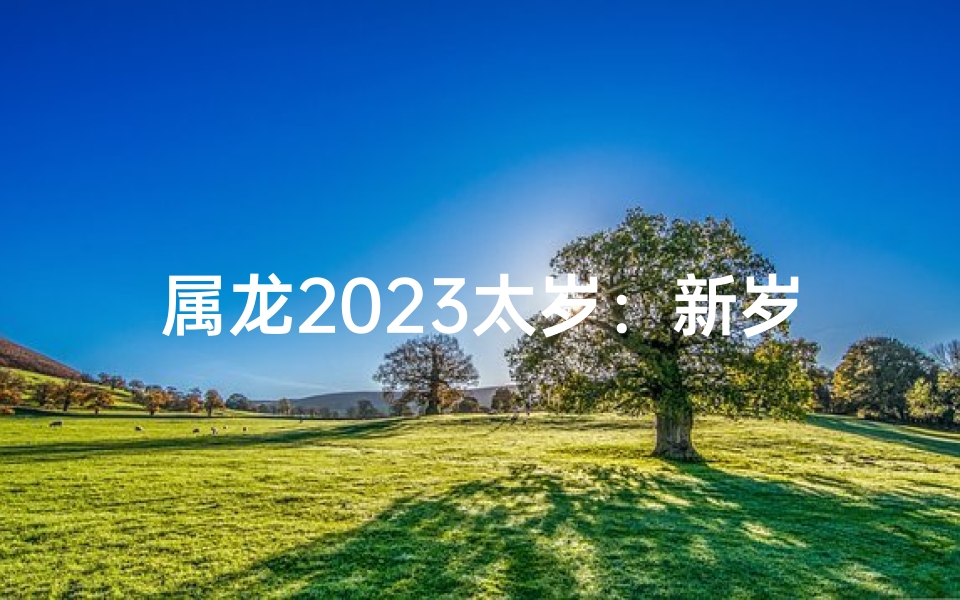 属龙2023太岁：新岁好运，龙腾四海