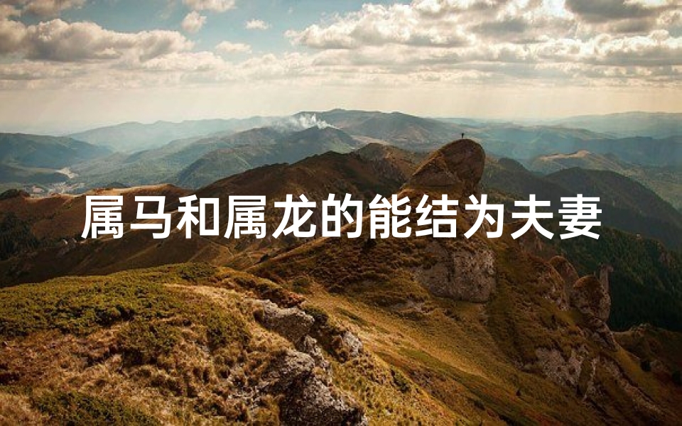 属马和属龙的能结为夫妻吗