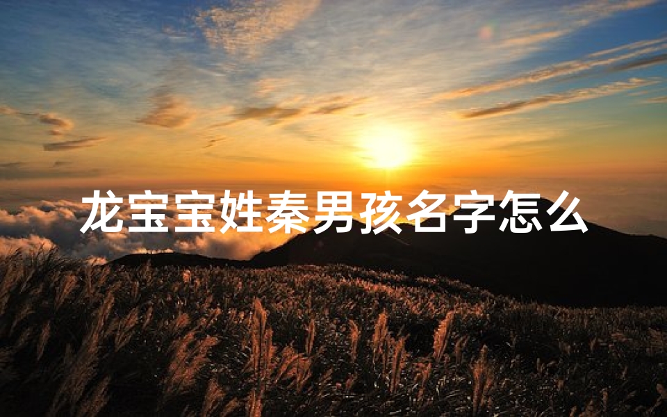 龙宝宝姓秦男孩名字怎么取名、《龙宝宝秦姓男孩，如何取一个响亮的名字？》