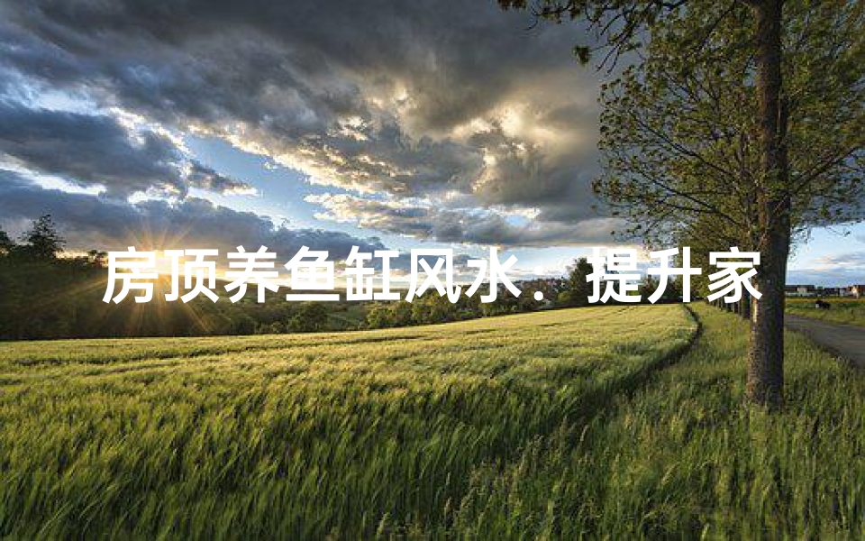 房顶养鱼缸风水：提升家居运势的神秘布局