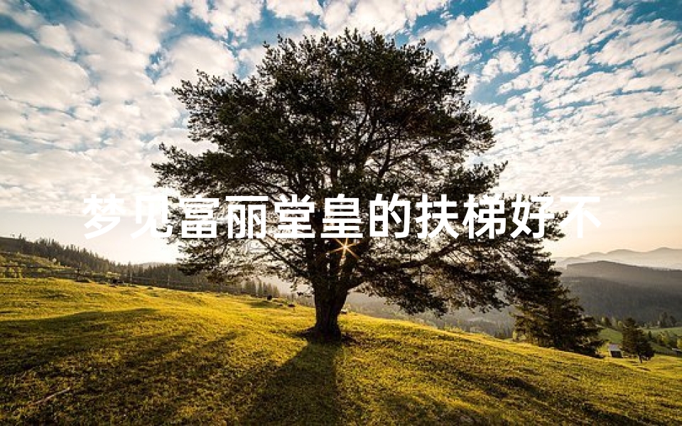 梦见富丽堂皇的扶梯好不好;梦见扶梯子是什么意思