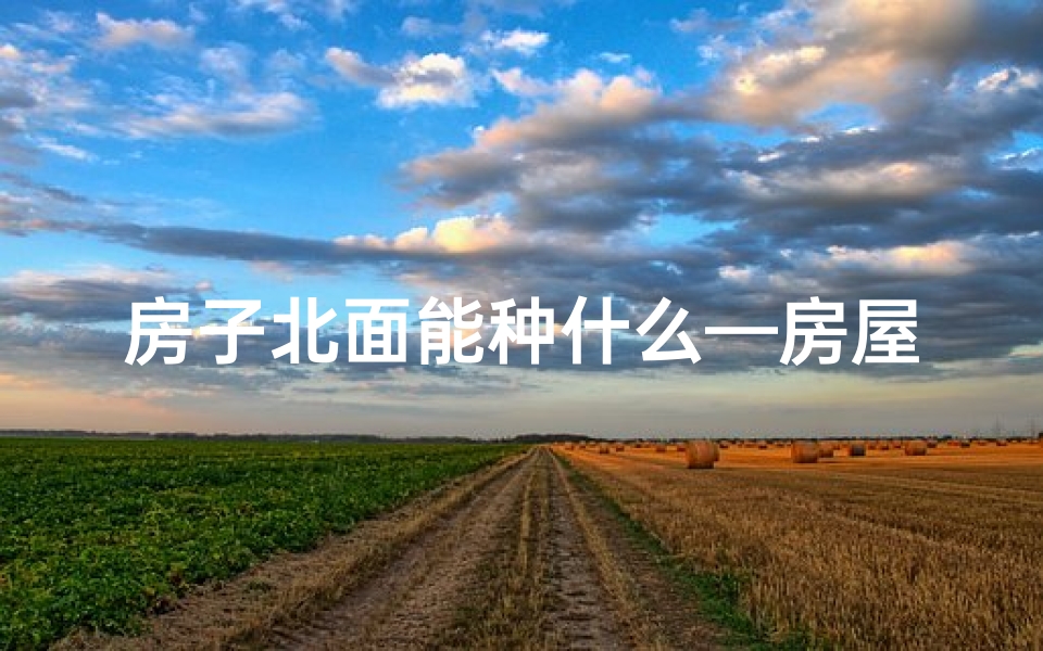 房子北面能种什么—房屋北面种竹子风水吉凶？