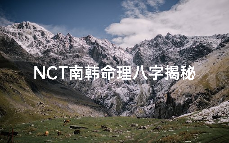 NCT南韩命理八字揭秘：命运轨迹解析
