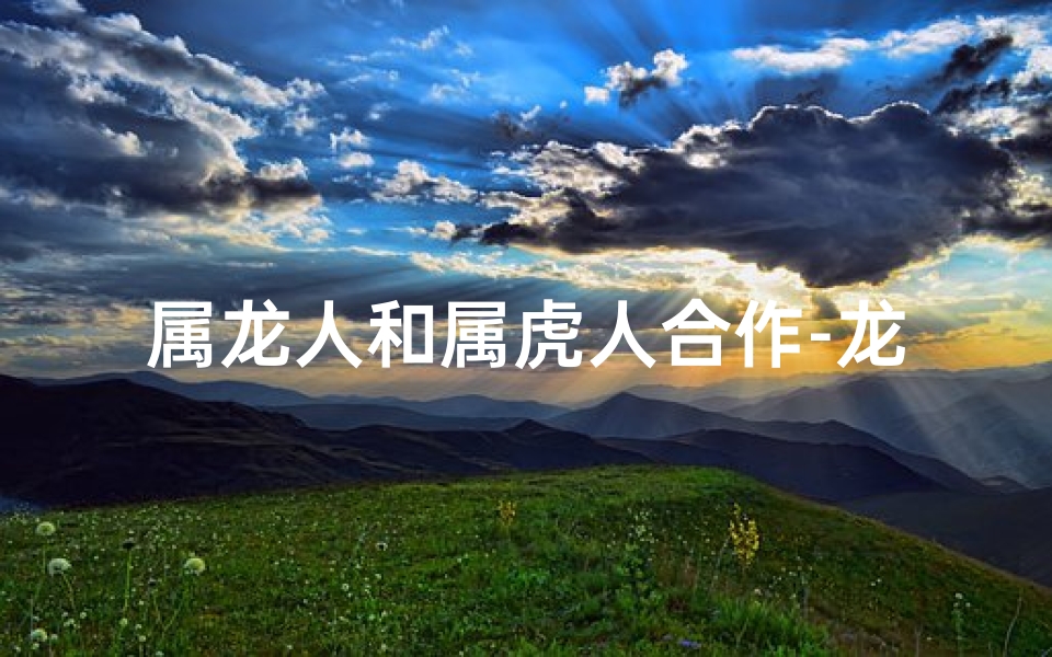 属龙人和属虎人合作-龙虎联手，共创辉煌