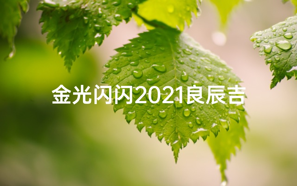 金光闪闪2021良辰吉日，乔迁新居幸福满堂