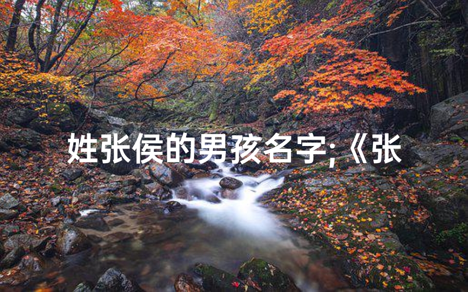 姓张侯的男孩名字;《张姓猴宝宝，喜庆吉祥的名字揭晓》