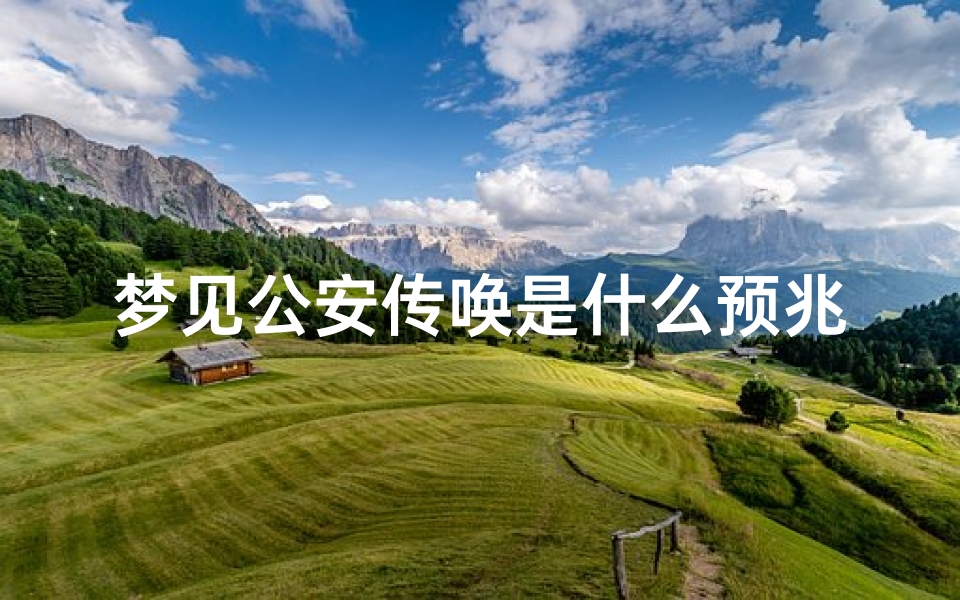 梦见公安传唤是什么预兆(梦见自己公安局的人传唤是什么意思)