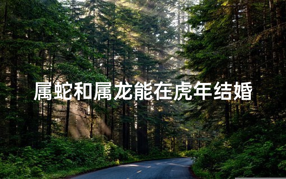 属蛇和属龙能在虎年结婚吗,属蛇人和属龙人能结婚吗