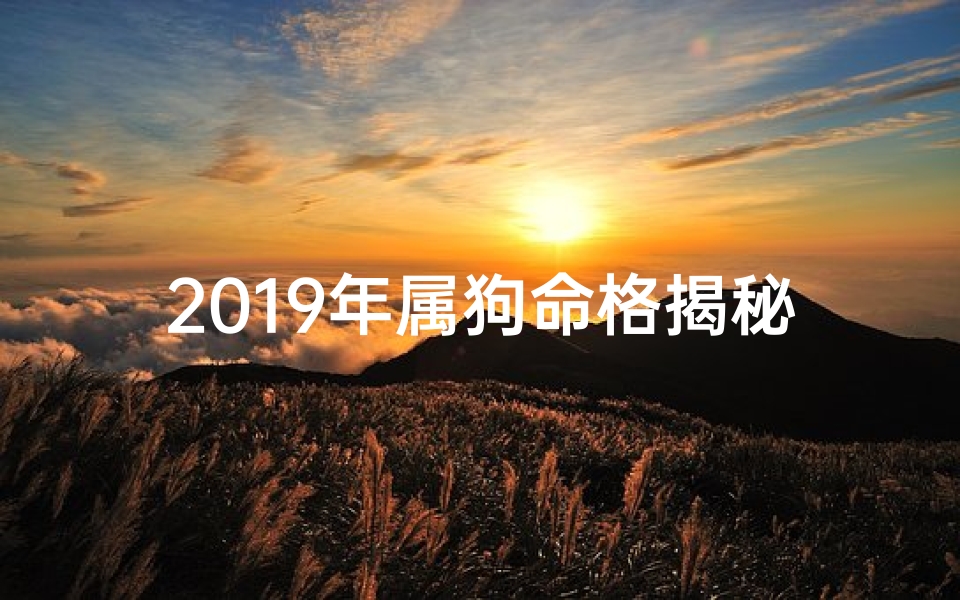 2019年属狗命格揭秘：运势详解与人生启示
