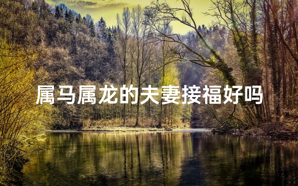 属马属龙的夫妻接福好吗