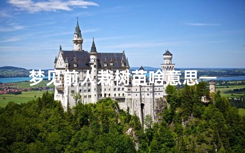 梦见前人栽树苗啥意思—梦见别人栽的树