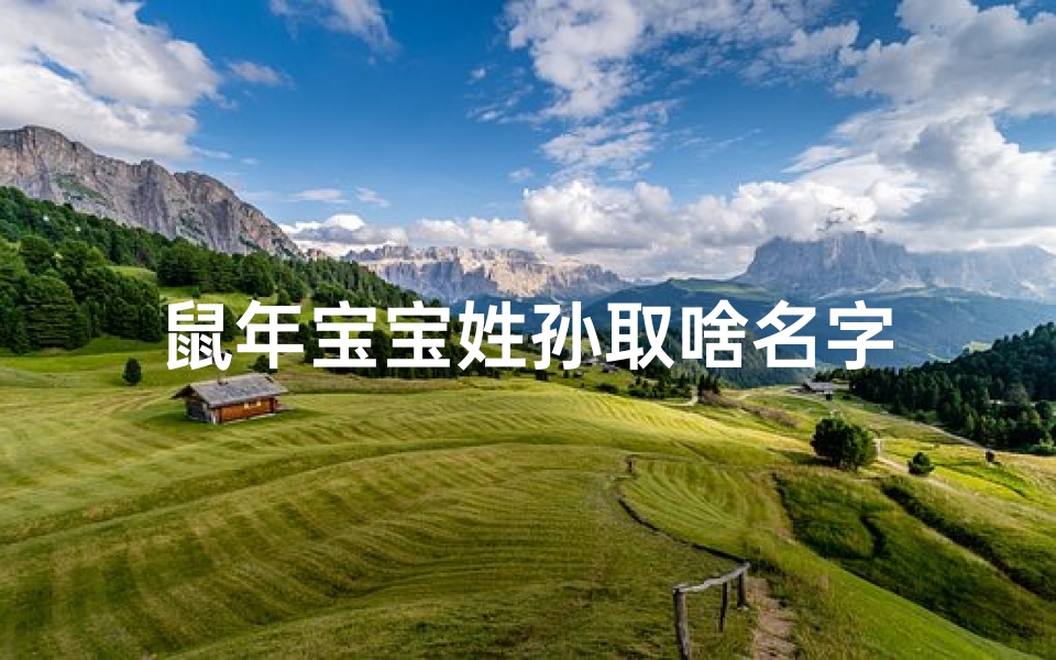 鼠年宝宝姓孙取啥名字