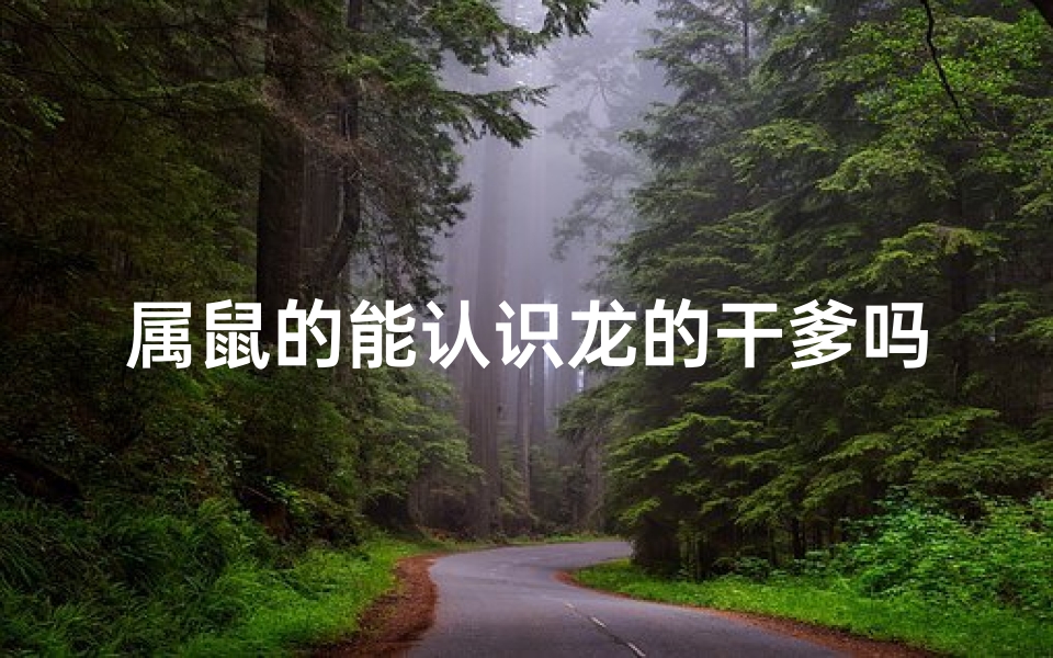 属鼠的能认识龙的干爹吗(属鼠少年奇遇记：龙族干爹的神秘传承)