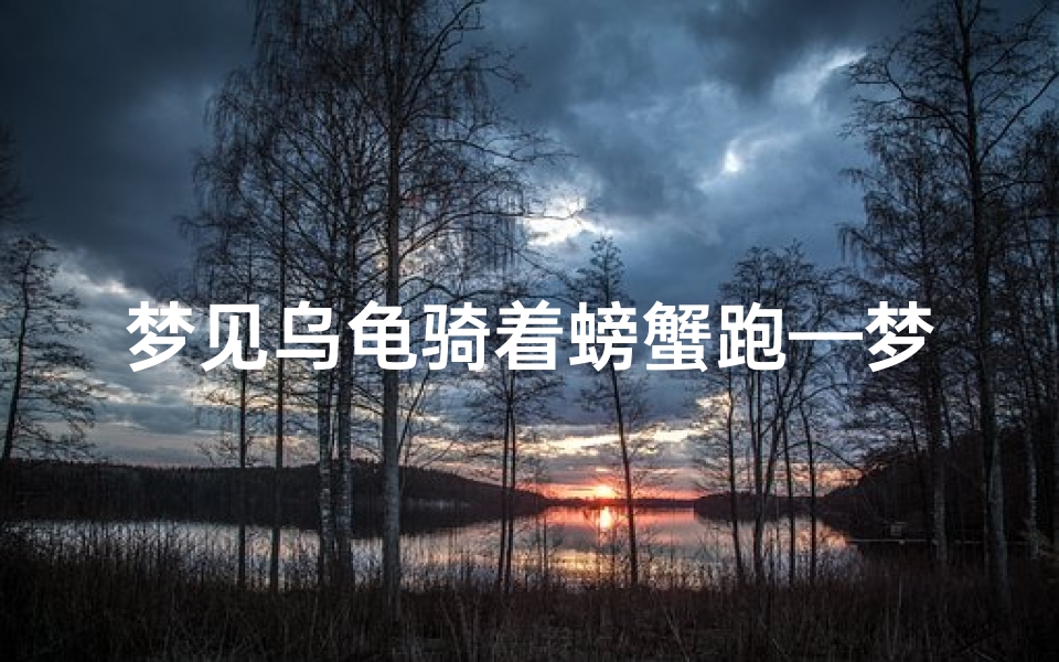 梦见乌龟骑着螃蟹跑—梦见乌龟骑着螃蟹跑什么意思