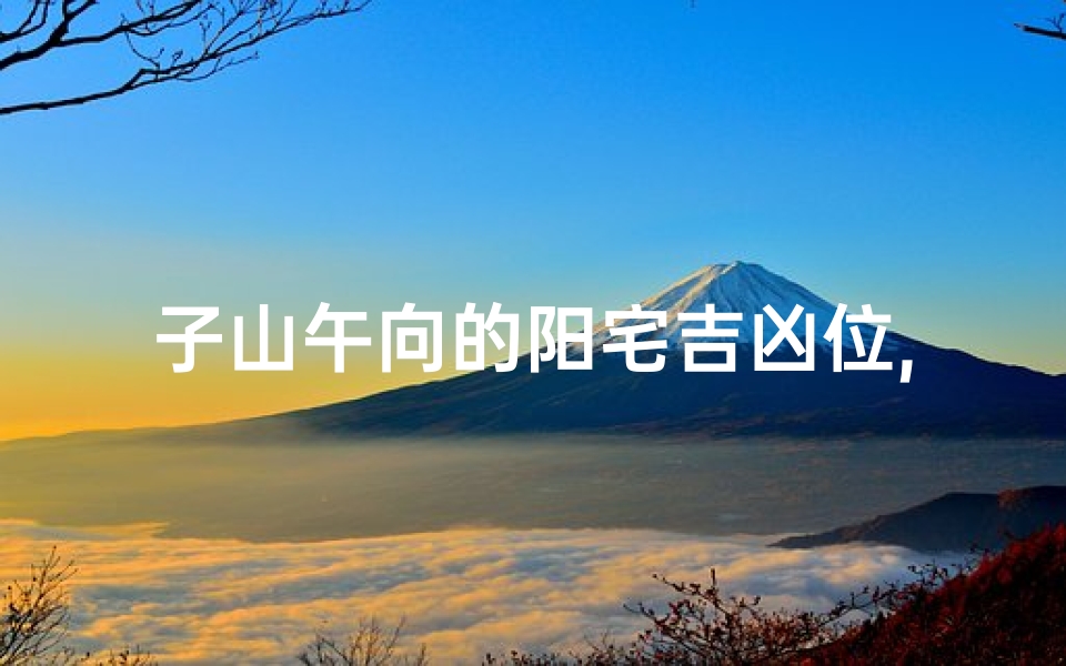 子山午向的阳宅吉凶位,子山午向吉凶方位