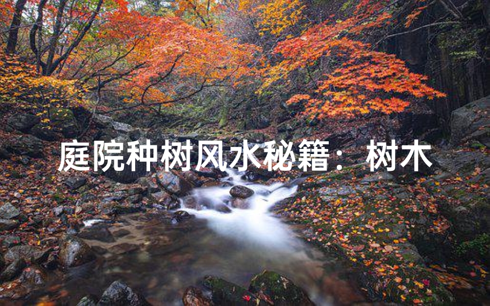庭院种树风水秘籍：树木布局的奥秘