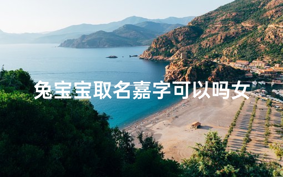 兔宝宝取名嘉字可以吗女孩、《兔宝宝嘉字女孩，温馨成长故事》