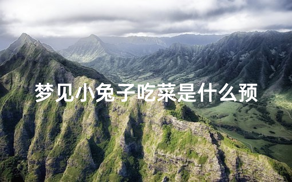 梦见小兔子吃菜是什么预兆、梦见兔子吃白菜是什么意思