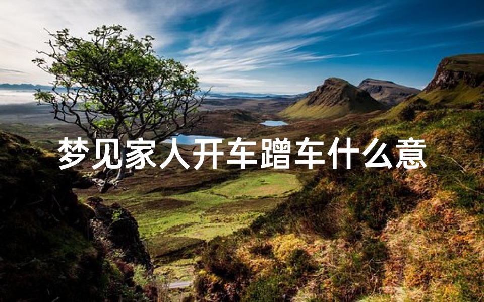 梦见家人开车蹭车什么意思(梦见家人开车和别人剐蹭)
