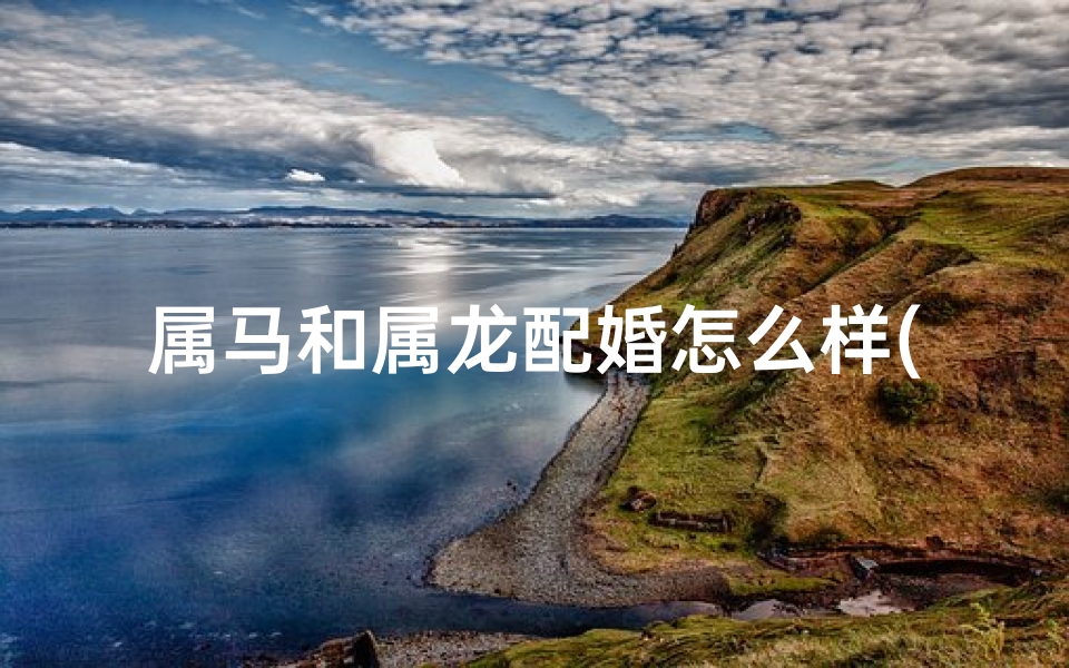 属马和属龙配婚怎么样(属马和属龙般配吗)