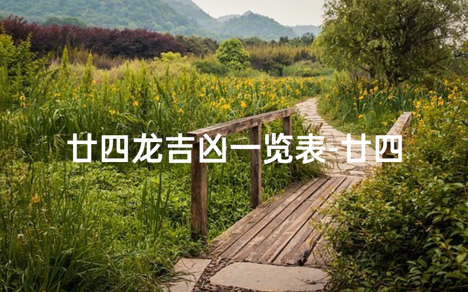 廿四龙吉凶一览表-廿四山龙运吉凶表图片