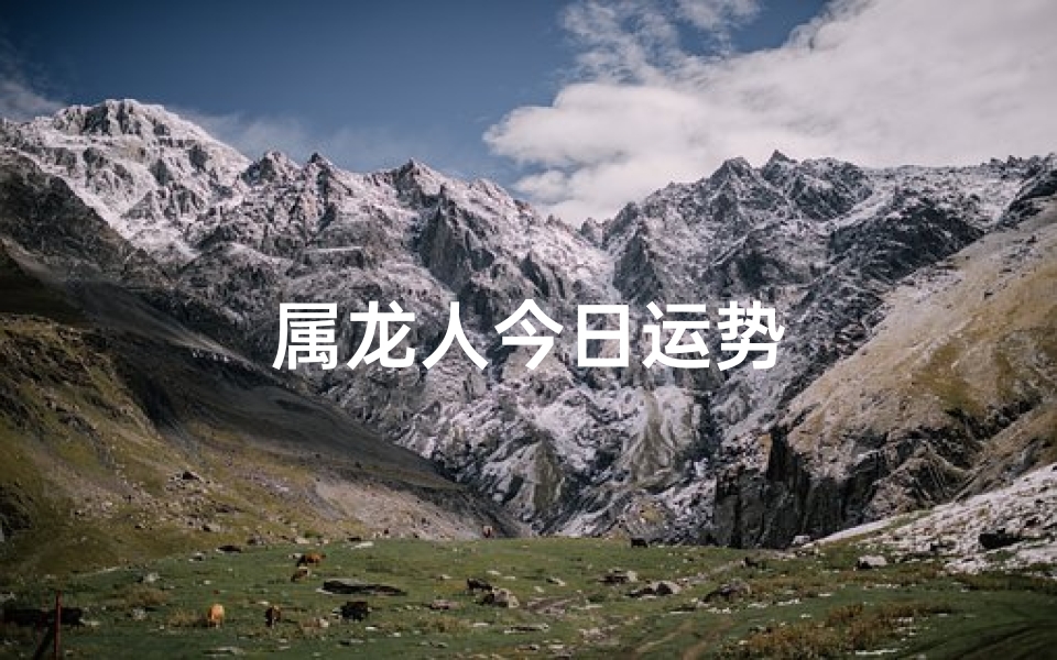 属龙人今日运势