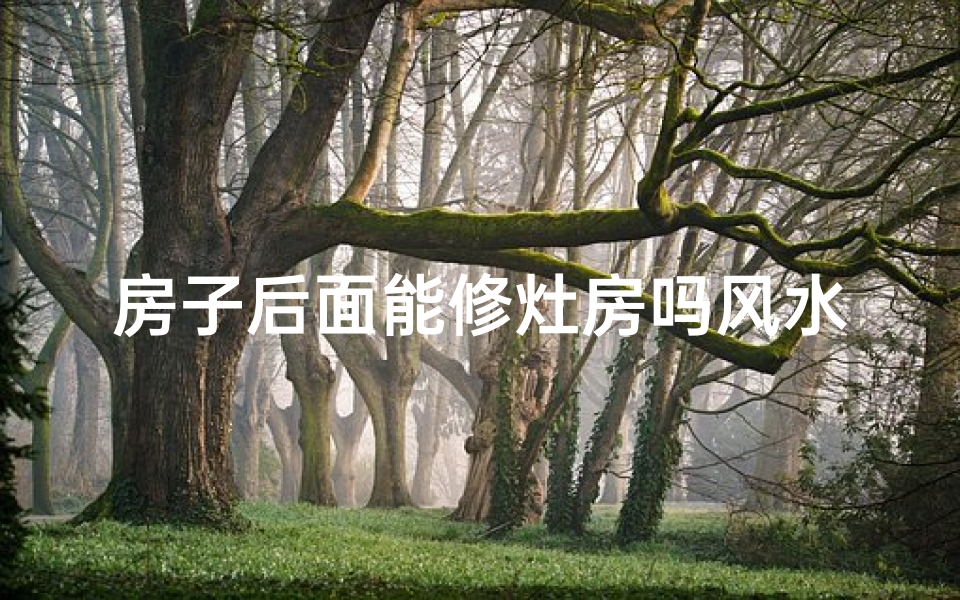 房子后面能修灶房吗风水