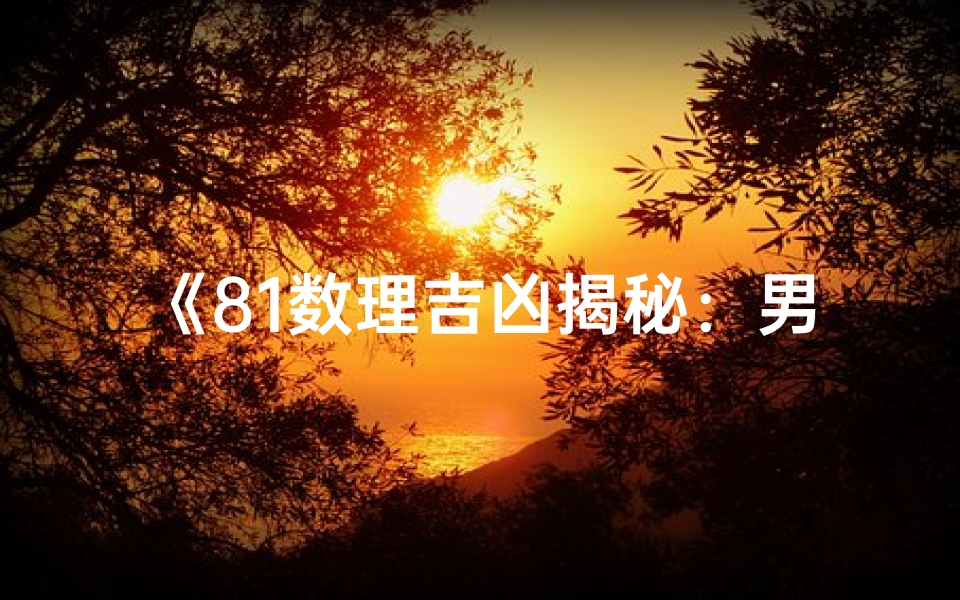 《81数理吉凶揭秘：男女运势详析》