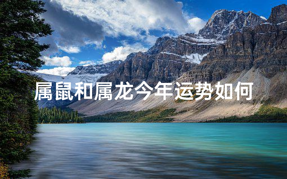 属鼠和属龙今年运势如何—属鼠属龙2025年运势揭秘：财运亨通，事业腾飞