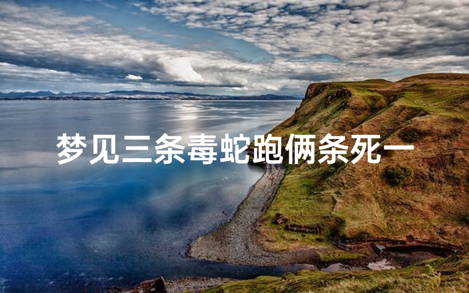 梦见三条毒蛇跑俩条死一条;梦见三条蛇弄死两条
