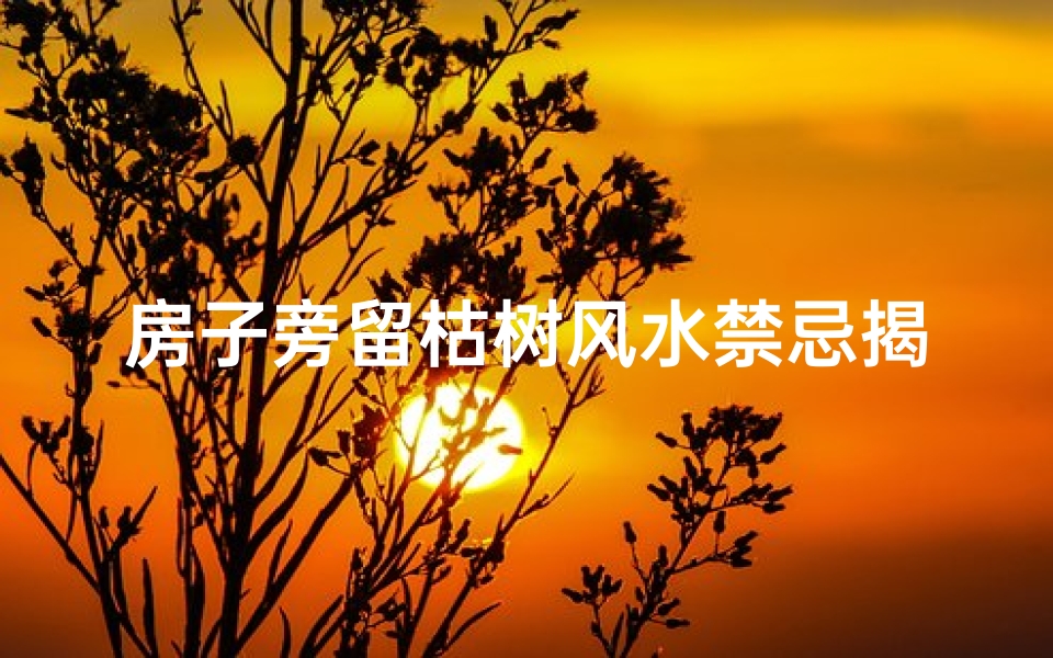 房子旁留枯树风水禁忌揭秘