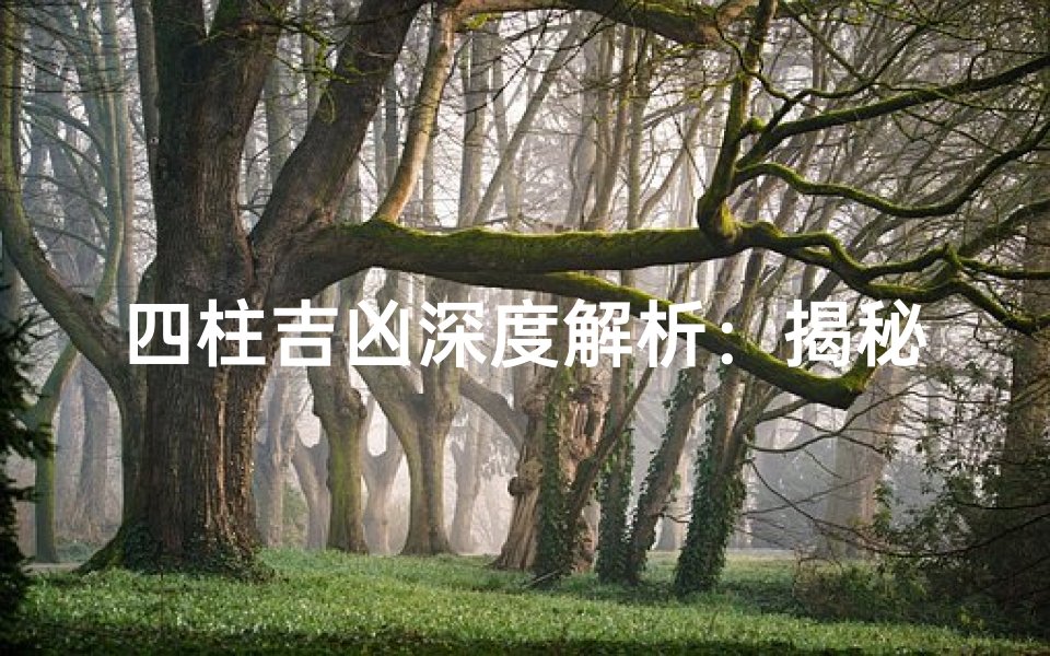 四柱吉凶深度解析：揭秘命运密码