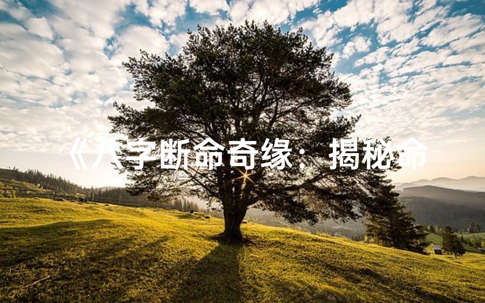 《八字断命奇缘：揭秘命运终章》
