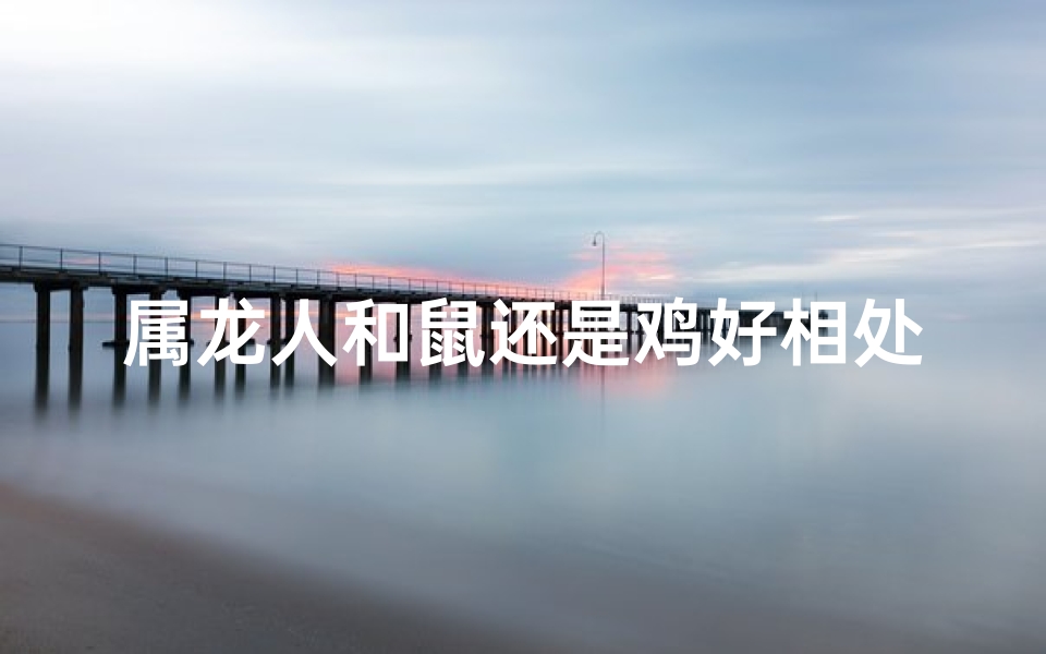 属龙人和鼠还是鸡好相处