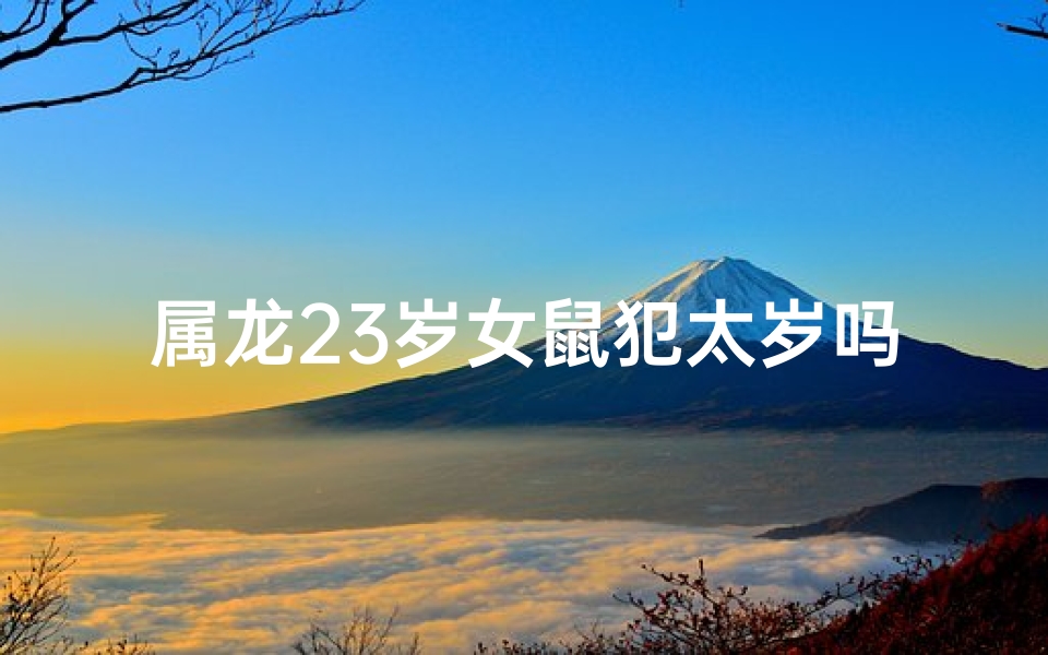 属龙23岁女鼠犯太岁吗？运势解析