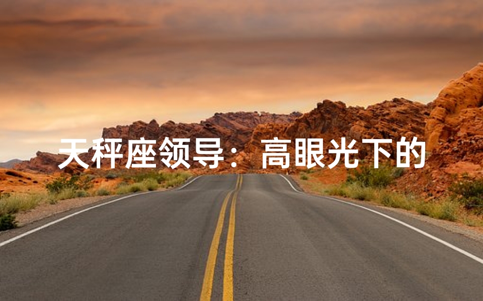 天秤座领导：高眼光下的平衡之道