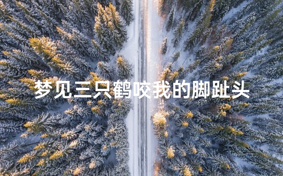 梦见三只鹤咬我的脚趾头、梦到被鹤咬