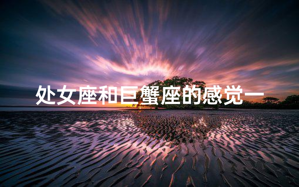 处女座和巨蟹座的感觉一样吗