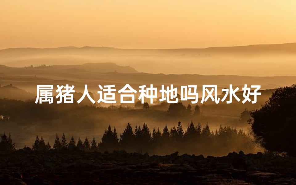 属猪人适合种地吗风水好吗、属猪人种地风水佳：宜耕作之地选择指南