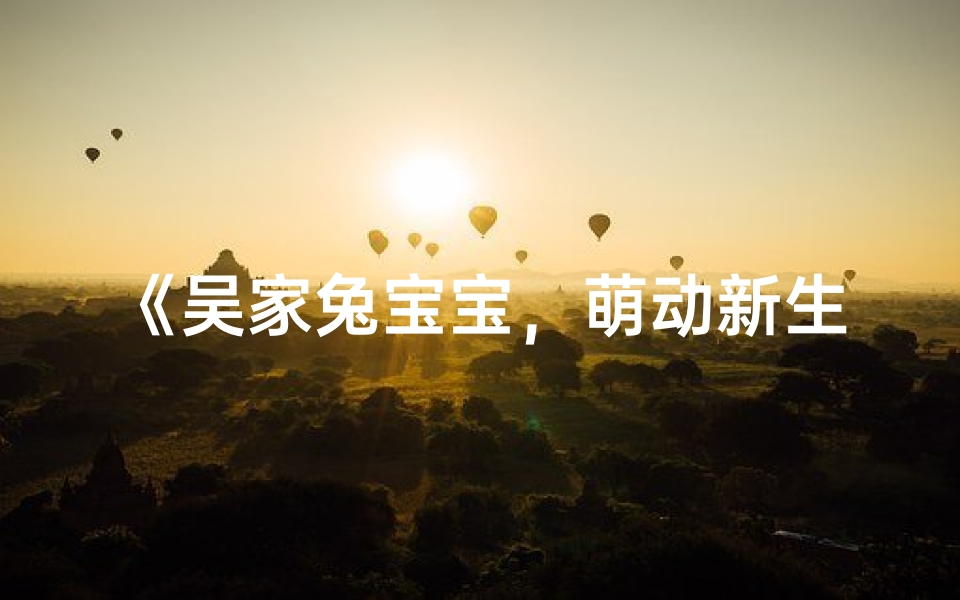 《吴家兔宝宝，萌动新生命》