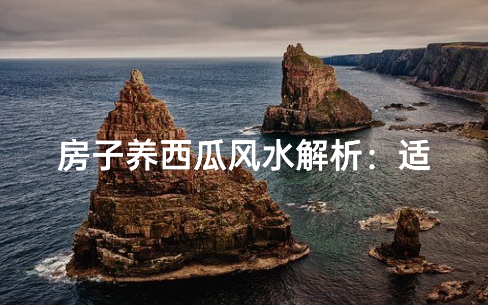 房子养西瓜风水解析：适宜否？