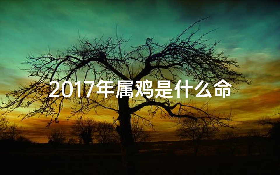 2017年属鸡是什么命格-2017年属鸡命格揭秘：运势详解与吉祥物推荐