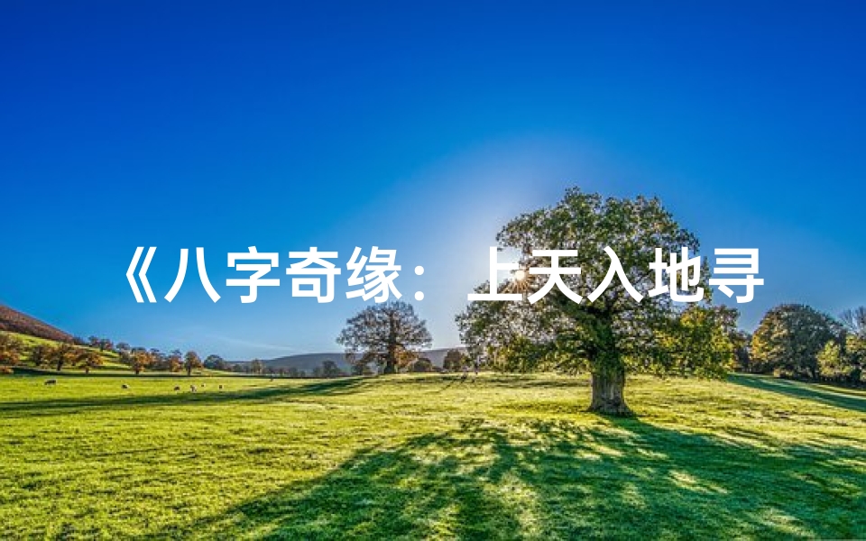《八字奇缘：上天入地寻真爱》