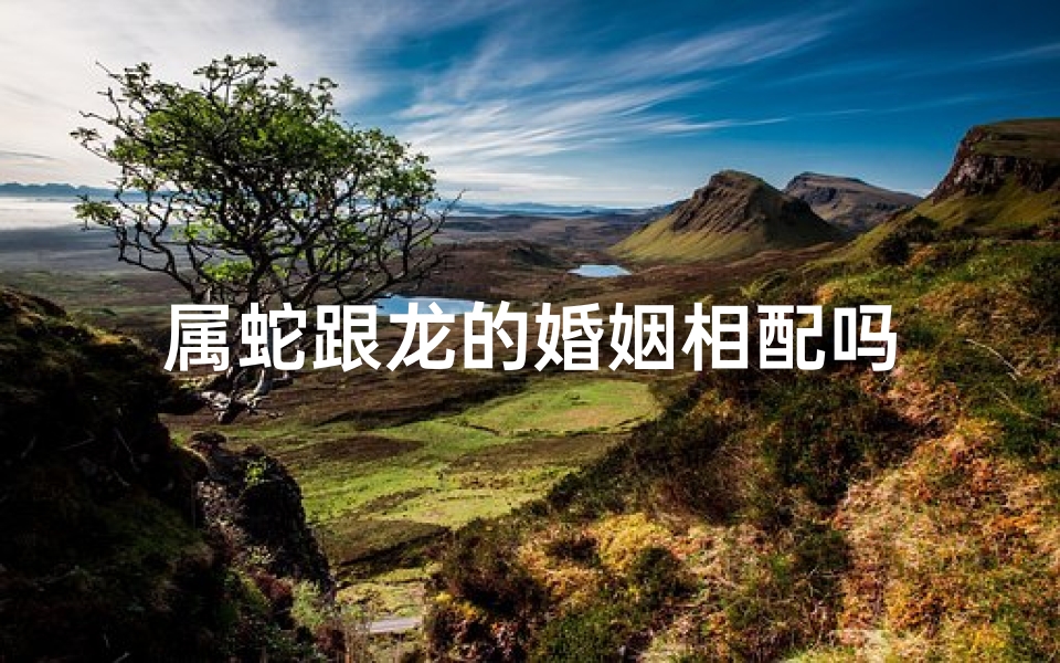 属蛇跟龙的婚姻相配吗