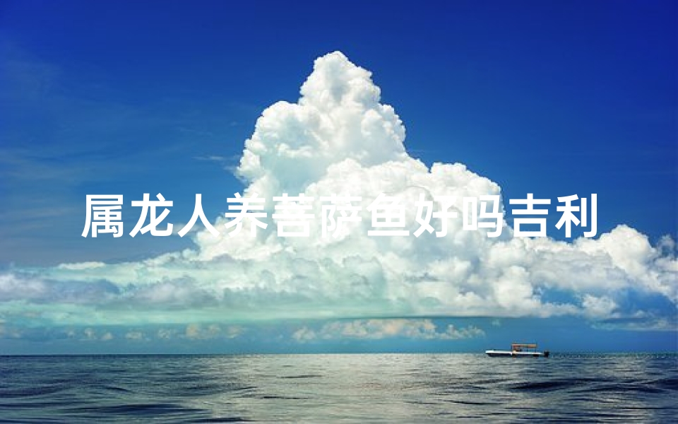 属龙人养菩萨鱼好吗吉利吗—属龙人养菩萨鱼：吉星高照，好运连连
