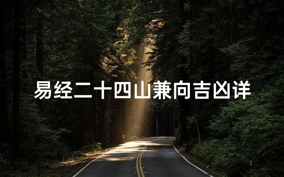 易经二十四山兼向吉凶详解图_《易经二十四山向吉凶详析揭秘》