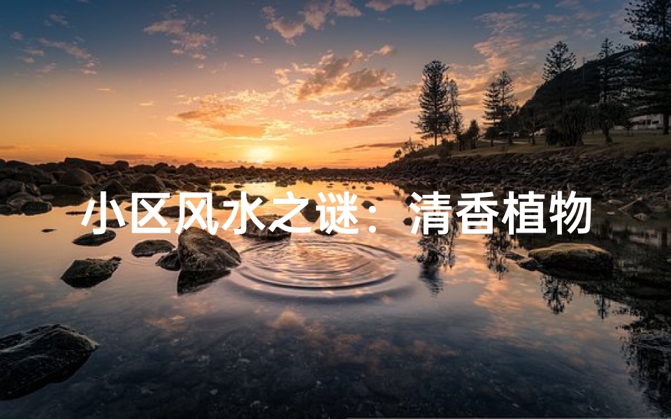 小区风水之谜：清香植物藏风水秘密