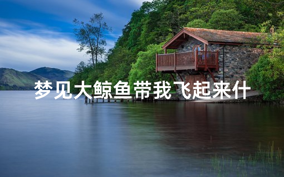 梦见大鲸鱼带我飞起来什么意思(梦见大鲸鱼带我飞起来什么意思啊)