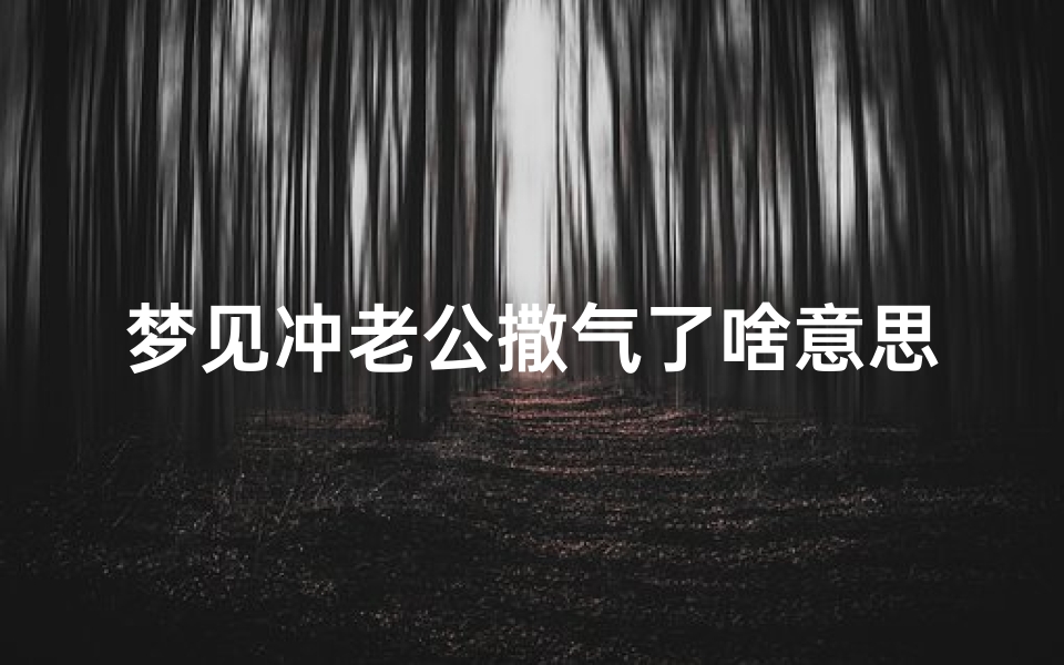 梦见冲老公撒气了啥意思;梦见给老公冲大便